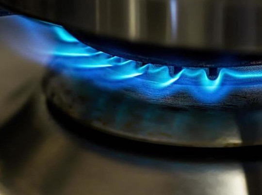 Министр ФРГ допустил остановку работы ряда отраслей из-за нехватки газа