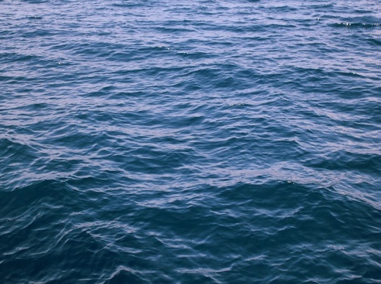 Подросток утонул в озере в Тосненском районе