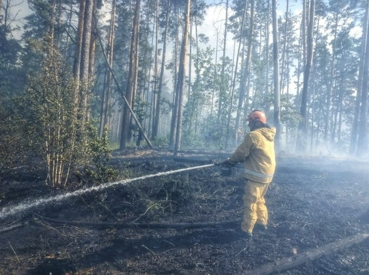 С первым в 2022 году пожаром в Воронежской области справились за 8 часов