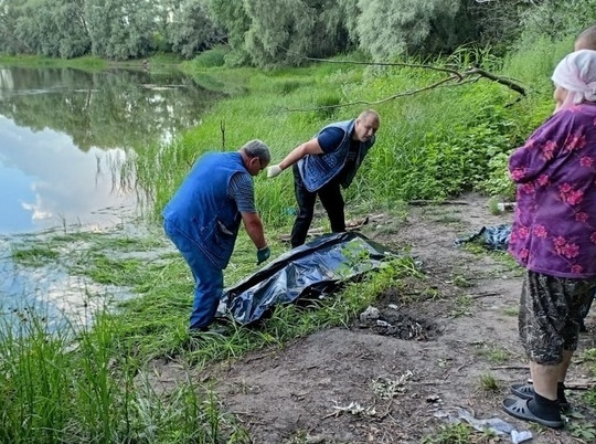 В деревне Николаевке Курской области утонул 66-летний мужчина