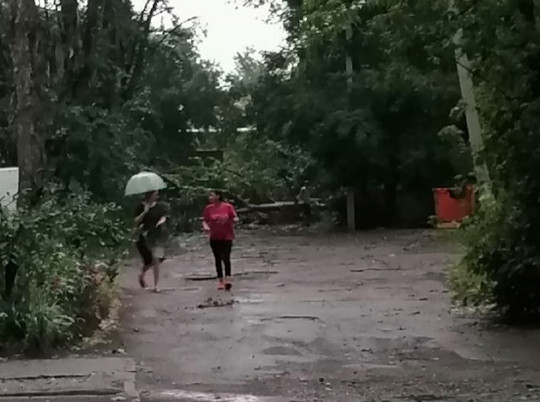 В Ярославле вечерний ураган повалил деревья и разбросал стройматериалы