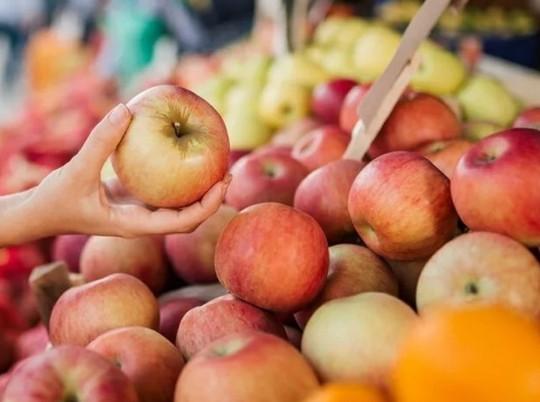 Ярославцам дали совет по выбору одного из самых вкусных и полезных фруктов – яблок