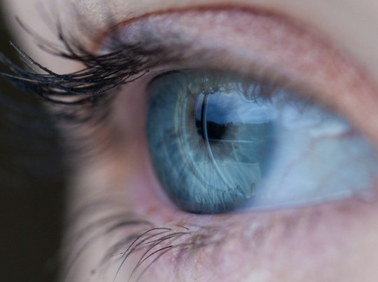 Как уберечь свои глаза: врачи подготовили рекомендации
