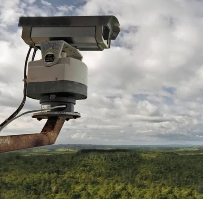 В ярославских лесах установили камеры наблюдения
