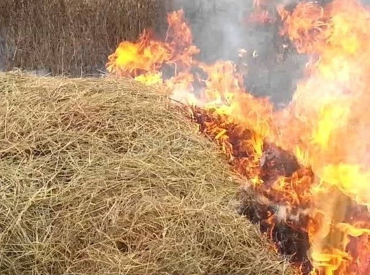 В воскресный день в Ивановской области сгорело сено на площади 400 кв. метров