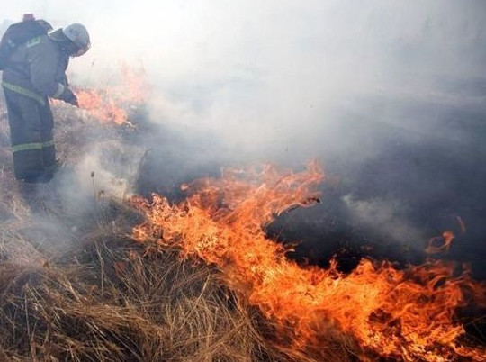 Во Владимирской области ожидается чрезвычайная пожарная опасность