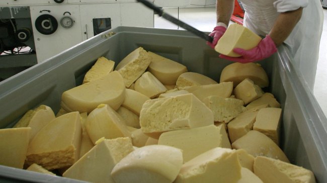 В Ленобласти намерены построить завод по производство натуральных сыров - «Строительство»