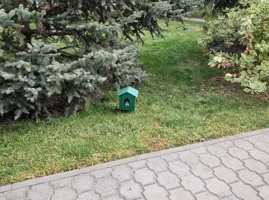 В центре Астрахани деревянный домик отпугивает собак