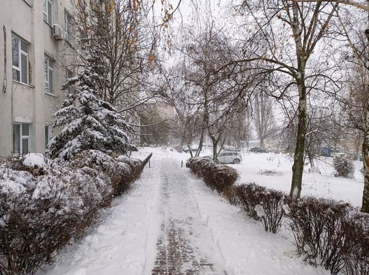 Валентин Демидов признал недостаточным число вышедшей на уборку снега в Белгороде техники