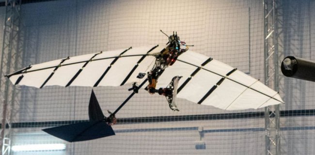 Разработана «куриная ножка» для посадки дронов - «Компьютеры и интернет»