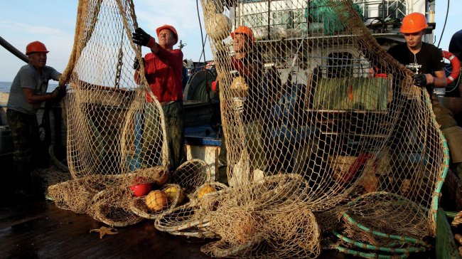 "Нас хотят вытеснить с рынка": с чем столкнулись российские рыбаки - «Строительство»
