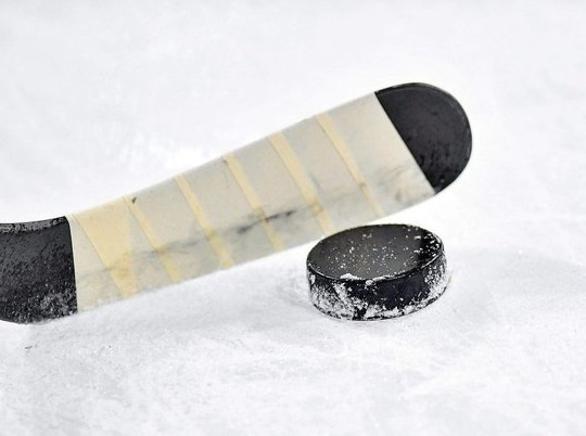 Россиянин Данил Гущин начал карьеру в НХЛ с забитого гола
