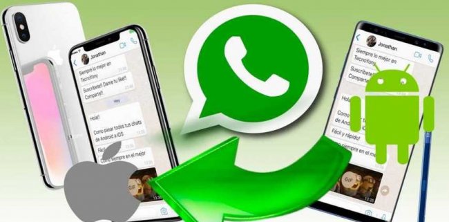 В WhatsApp появился перенос чатов - «Компьютеры и интернет»
