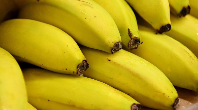 В Казахстане начали выращивать бананы в промышленных объемах - «Строительство»