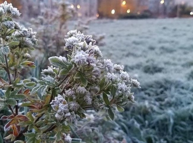 До -4 градусов и гололедица: какая погода ждет петербуржцев 18 ноября