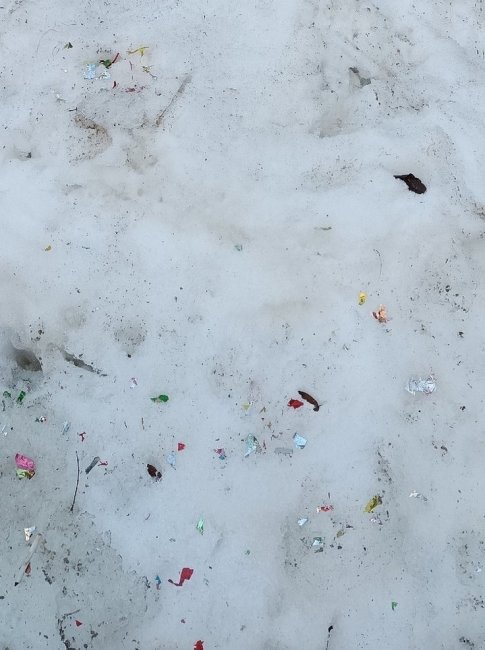 Новогодний мусор полез из-под снега в Петрозаводске