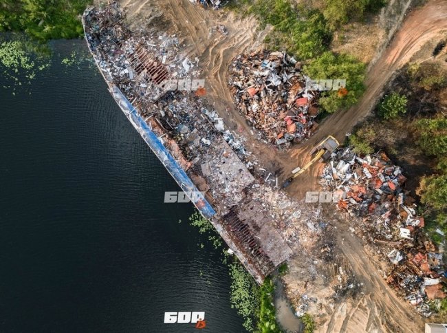 Нижегородцы обеспокоены экологической катастрофой на берегу Волги