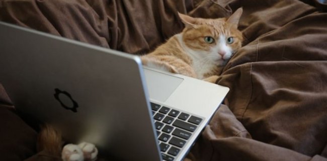 Штраф за поиск в интернете - «Компьютеры и интернет»