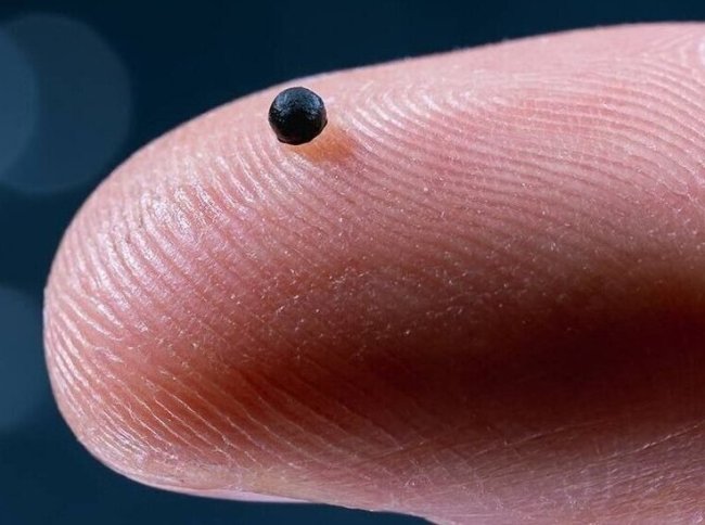 Германия — Капсула с GPS–навигацией