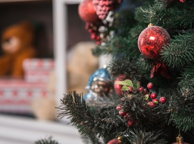 Стать волшебником для ребёнка: в Тамбове загорелись огни «Дерева добра»