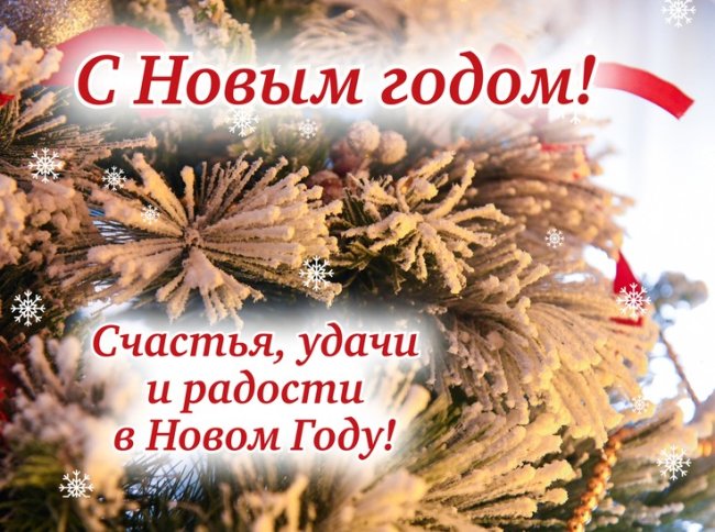 «МК в Волгограде» поздравляет читателей с наступающим 2026 годом!