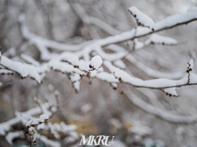 Морозы в Якутии достигли минус 56 градусов