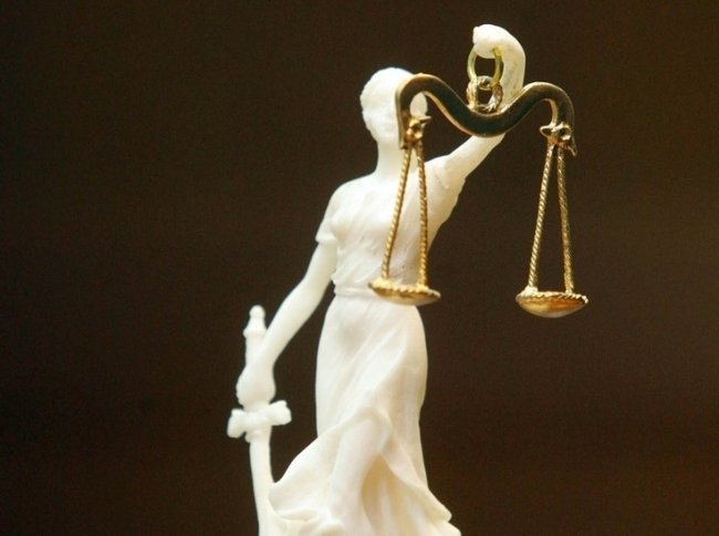 Подмосковный экс-министр получил год условно за нападение на девушку с топором