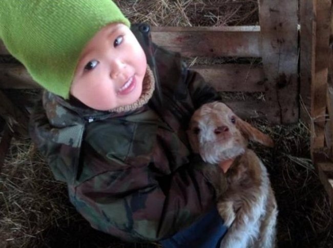 В Калмыкии определили лучшие семейные хозяйства