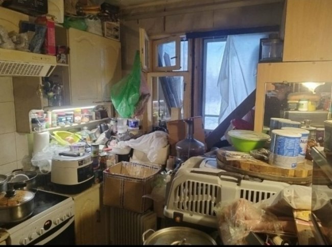 В Петербурге мужчина остался один с 40 джек-расселами после пропажи заводчицы