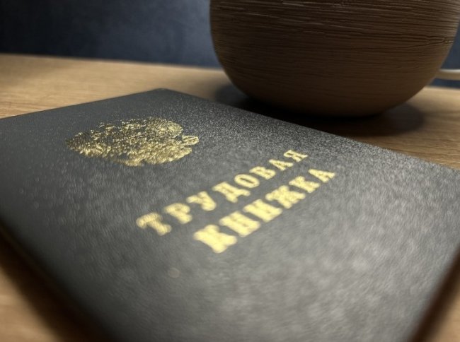 Более 15 тысяч северян нашли работу через кадровые центры в 2025 году