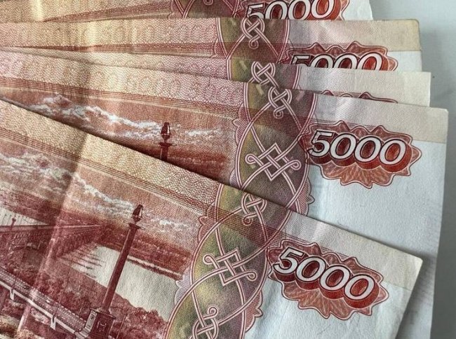 Подростку из Минеральных Вод выплатят 50 тысяч рублей за укус бездомной собаки