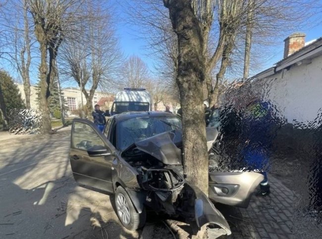 В Правдинске водитель погиб в смертельном ДТП с деревом