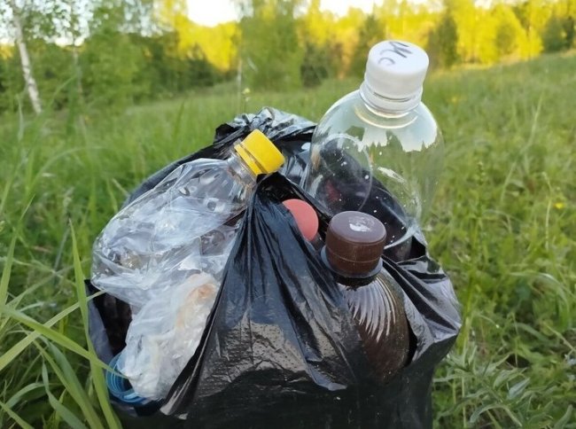 Волонтеры и минприроды Калининграда навели идеальный порядок в Первомайском лесу