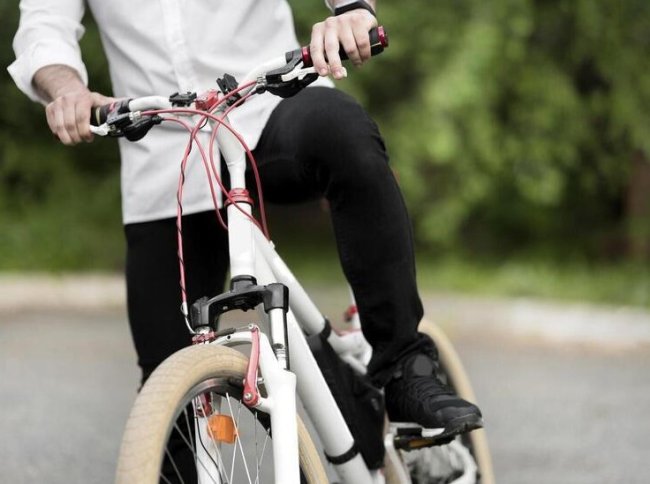 Депутаты ЗСНО попросят Госдуму ввести наказание для велосипедистов
