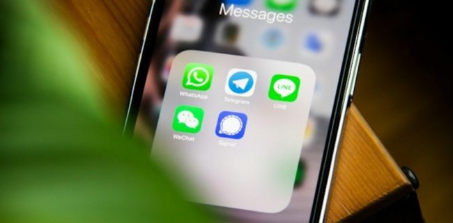 Скопируйте важное - «Компьютеры и интернет»