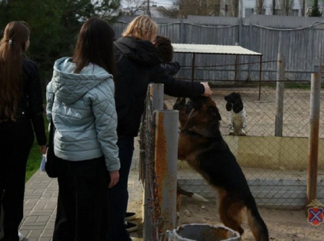 Волгоградских школьников познакомили с работой криминалистов