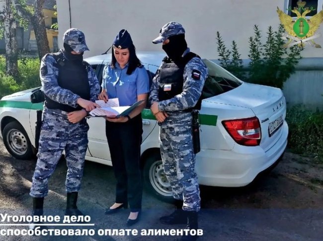 В Тамбове алиментщик заплатил 190 тыс рублей долга из-за уголовного дела