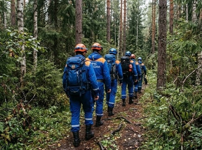 На Сахалине четвертые сутки ищут потерявшуюся в лесу пенсионерку