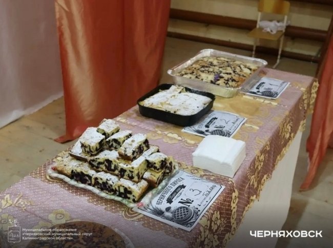 Под Черняховском прошел праздник в честь местной ягоды